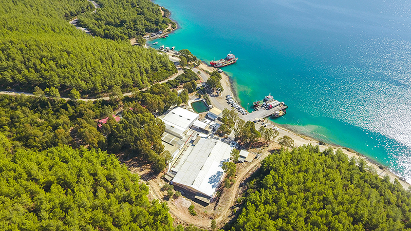 ARGE-VE-KULUCKAHANE-TESISLERIMIZ-Milas-MUGLA-GUVERCINLIK